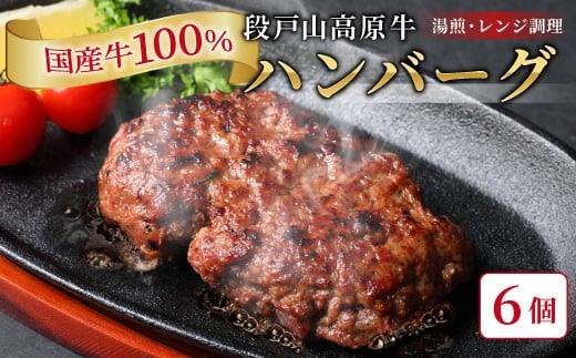 国産 牛肉 100% ハンバーグ レンジ可 湯煎 加熱済 6個 個包装 100g 国産牛 牛 着色料 保存料 化学調味料 不使用 牛肉ハンバーグ 肉 肉汁 -095