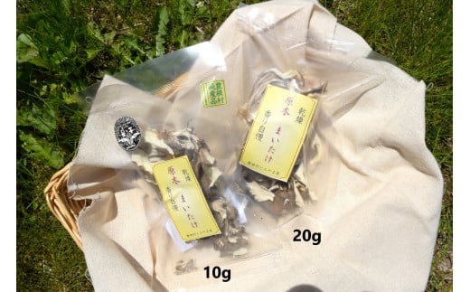 【19】乾燥 原木まいたけ 20g
