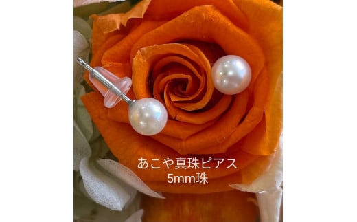 10-80あこや真珠ピアス