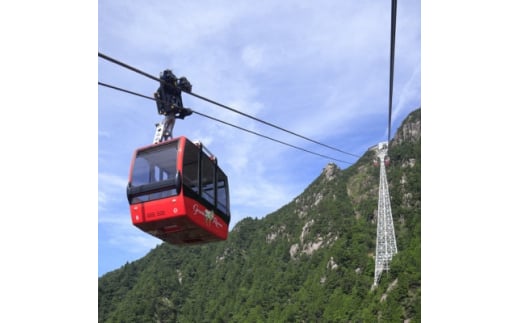 御在所ロープウエイ往復乗車券(2枚)【1273590】