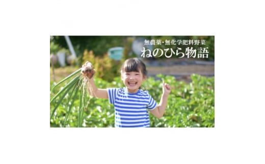 自然のまま育てる農業体験とおみやげ野菜セット【1407469】
