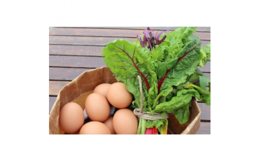 自然のまま育った野菜7種類と平飼有精卵のセット【1407484】