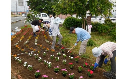 3.ふるさとの景観や緑の保全など環境活動を応援する事業