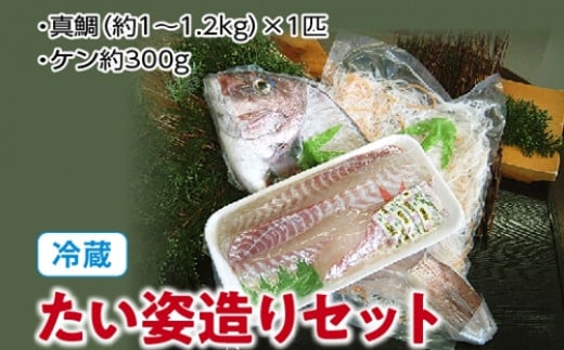 （冷蔵）たい姿造りセット／伊勢志摩　熊野灘　鈴木水産　真鯛　タイ　お刺身　塩焼き　鯛めし　煮付け　豪華姿造り　度会町