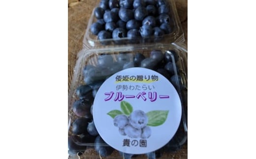 (冷凍) 三重県度会町産の有機栽培 自然の恵みを受け甘く育った ブルーベリー 500g / 貴の園 フルーツ 果物 国産 三重県 度会町