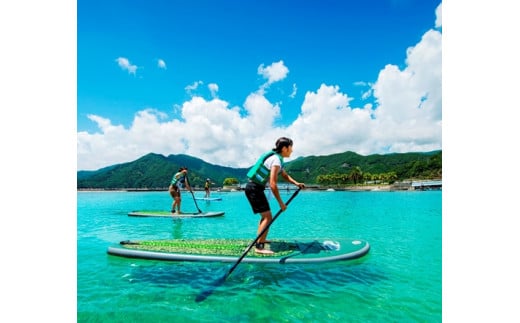 SUPクルージング チケット(4名分)/地域活性化協議会 ふるさと納税 体験 アウトドア 三重県 大紀町