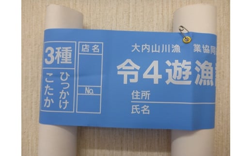 鮎 遊漁券 年券 3種/大内山川漁業協同組合 釣り ひっかけ こたか 川釣り アウトドア 大紀ブランド 三重県 大紀町