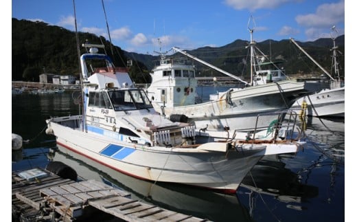 喜盛丸 遊漁船乗船券 乗り合い 1回分/錦の海 釣り ルアーフィッシング アウトドア 三重県 大紀町