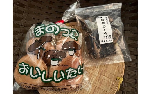 菌床しいたけ・乾燥キクラゲセット