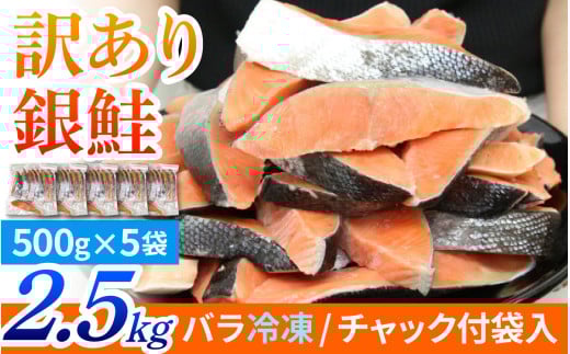 【訳あり品】塩銀鮭 切身 2.5kg(500g×5パック) | 冷凍鮭 鮭切り身 塩シャケ 塩鮭 甘口 甘塩 サケ