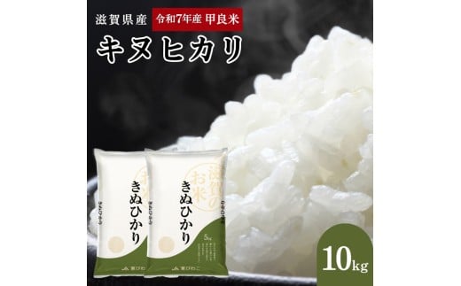 【先行予約】令和7年産甲良米「キヌヒカリ」白米 10kg　お米 こめ コメ おこめ 白米 キヌヒカリ