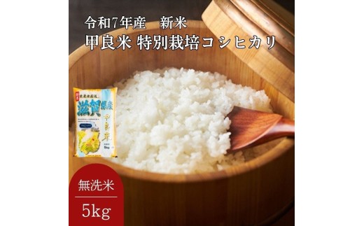 400個限定【令和7年産新米】甲良米 特別栽培コシヒカリ 無洗米 5kg お米 ライス ご飯 ブランド米 銘柄米 お弁当 おにぎり 直送 主食 炭水化物 特別栽培米 時短