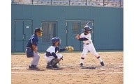 教育またはスポーツ・文化の振興に関する事業