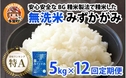 【令和７年産新米　毎月定期配送・計12回】 BG無洗米みずかがみ5kg×12回 [P-00403] / 滋賀県産 多賀町 みずかがみ 米 お米 こめ コメ 白米 ご飯 精米 5kg 袋 定期便 12ヶ月連続 国産 送料無料 おすすめ 人気 大人気 国産 ランキング 無洗米 ヌカ