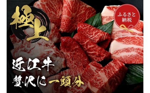 【和牛セレブ】近江牛1頭分買い （12分割配送）[O-01704]