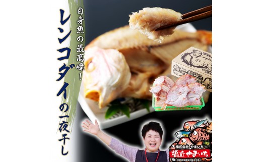 丹後のお魚屋さん一押しの絶品レンコダイの一夜干し 海鮮 おつまみ 干物 美味しい ご飯のお供 魚貝類 加工食品  myz02 myz11 myz17