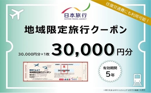 京都府宮津市　日本旅行　地域限定旅行クーポン30,000円分[№5716-0267]