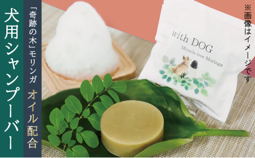 モリンガドッグシャンプーバー1個 ペット用品 ペット ドッグシャンプー ペットシャンプー シャンプー 犬 犬用 サラサラ 低刺激 モリンガ 宮津市 京都府 [№5716-0673]