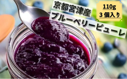 ブルーベリーピューレ 3個セット ピューレ フルーツソース ブルーベリー100% 無糖 ヨーグルト パン 宮津市 京都 [№5716-0684]