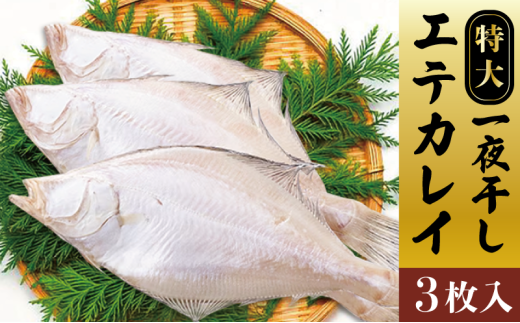 【ふるさと納税】特大エテカレイ 一夜干し 3枚 魚貝類 魚 地魚 一夜干し エテカレイ カレイ 大きめ 干物 ひもの セット 冷凍 個包装 [№5716-0467]