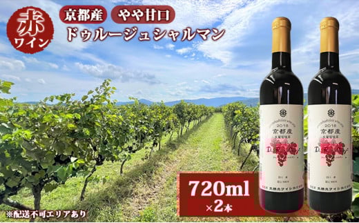 【ふるさと納税】 赤ワイン 京都産 2022ドゥルージュシャルマン やや甘口 720ml×2本《 天橋立ワイナリー 》ワイン wine 天橋立 [№5716-0410]