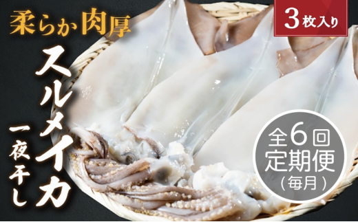 【毎月_定期便 全6回】日本海産柔らか肉厚のスルメイカ一夜干し(大)3枚　 魚貝類 イカ いか スルメイカ お酒 つまみ 特大 新鮮 保存 冷凍 国産 酒の肴 酒のつまみ [№5716-0710]
