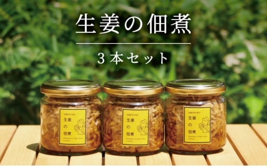 生姜の佃煮 3個[№5716-0757]