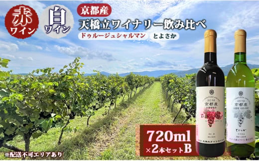 赤ワイン ・ 白ワイン 京都産 天橋立ワイナリー 飲み比べ 720ml×2本セットB（ 2022ドゥルージュシャルマン やや甘口 、とよさか 甘口 ） [№5716-0413]