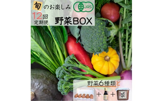 【12回定期便】<京都・矢田の里>産地直送!有機JAS認定 京野菜・農家のこだわり野菜・新鮮卵など お楽しみセット1年間お届け ≪オーガニック 栽培期間中農薬・化学肥料不使用 野菜 定期便 12回 卵≫