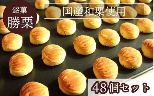 京都の縁起菓子「勝栗」48個セット ｜ スイーツ 和菓子 焼菓子 必勝祈願 白あん 和栗 ギフト 贈答 お中元 お歳暮 父の日 母の日 敬老の日 プレゼント 70th