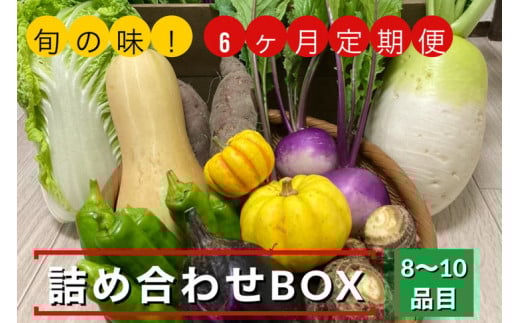 【6回定期便】旬の味!お野菜 詰め合わせBOX 8~10品目×6回(栽培期間中 農薬・化学肥料不使用) 【めぐる農園】京都 亀岡 京野菜 農家より直送