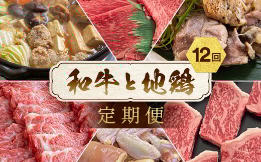 [訳あり 緊急支援][12回定期便]和牛と地鶏 毎月交互にお届け[京都亀岡丹波山本×ひら山]京の肉&地鶏丹波黒どり・丹波赤どり お楽しみセット [牛 鶏 すき焼き 焼肉 しゃぶしゃぶ ステーキ 冷凍 セット 緊急支援 ふるさと納税 定期便 特別返礼品]