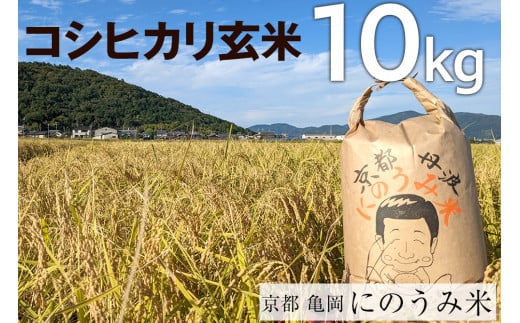 [令和7年産先行予約]米 コシヒカリ 玄米 10kg[アグリにのうみ]京都・亀岡産[令和7年産] 京都丹波産◇ ※北海道・沖縄・離島への配送不可 ※2025年10月中旬頃から順次発送予定
