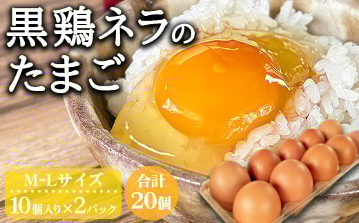 たかはし農園の放し飼い 黒鶏 ネラのたまご 10個×2 計20個 《京都 丹波産 放し飼い ケージフリー 希少 自然卵 平飼い 卵 有精卵 贈り物 ギフト 産地直送 健康食品 贈答》