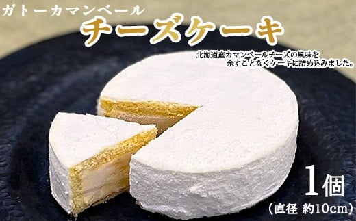 ガトーカマンベール チーズケーキ ≪スイーツ デザート お菓子 洋菓子 人気 おすすめ グルメ ギフト≫ ※離島への配送不可