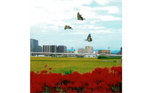 都市基盤整備に係る事業