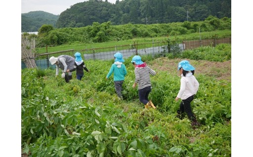 少子・高齢化対策に係る事業