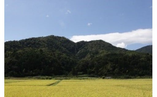 農林水産業の振興に係る事業