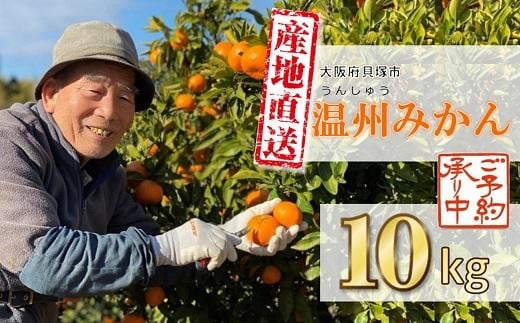 [2025年11月中旬から順次発送]季節の味覚!貝塚市産 温州みかん10kg / S M L ミックス 家庭用 蜜柑 ミカン フルーツ 果物 甘い ジューシー
