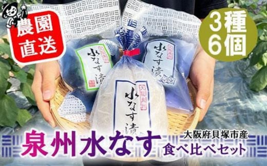 <先行予約>北野農園 泉州水なす漬3種6個セット