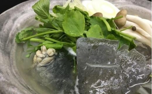 老舗料理屋がお届けする【国産】極上すっぽん鍋