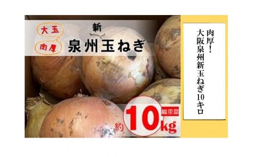 <先行予約>肉厚!大阪泉州新玉ねぎ10kg