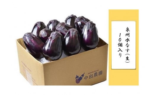 【先行予約】泉州水なす(生)10個入り