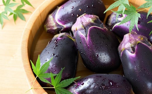 【先行予約2026年7月頃~発送】大阪泉州名産水ナス【生】10個入り