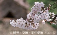 ６．国際交流に関する事業