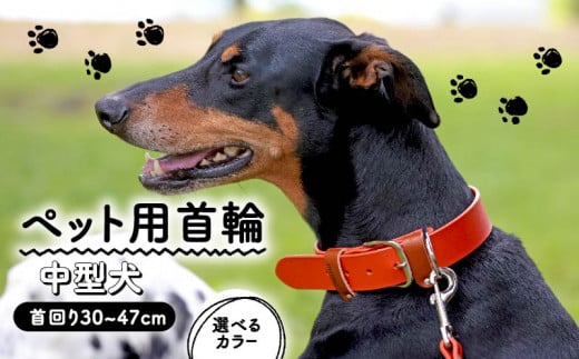 ペット用首輪 中型犬用 オレンジ 首回り30-37cm ペット 犬 愛犬 ワンちゃん 中型犬 首輪 リード 本革 レザー 牛革 牛 散歩 さんぽ ウォーキング 健康 おしゃれ 消耗品 大阪府 松原市