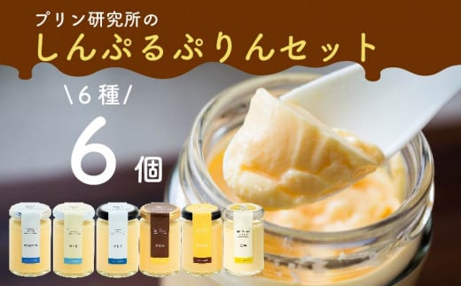 シンプルプリン 6種 6個セット ソース付き かため なめらか バニラプリン バニラ 生粋 4種 6種 スイーツ おやつ ご褒美 プレゼント ギフト 贈り物 お祝い 贈答用 高級 お取り寄せ 高級プリン 高級スイーツ プリン研究所 大阪府 松原市