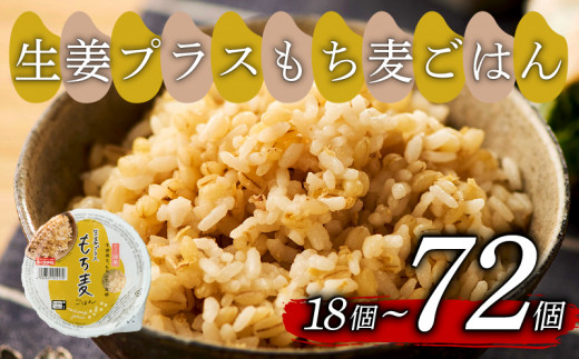 生姜プラスもち麦 ごはんパック 160g 24個 生姜 もち麦 麦 米 ごはん ご飯 こめ パックライス パックご飯 パックごはん ご飯パック ごはんパック パック ライス 備蓄 防災 保存 電子 レンジ 温めるだけ レンチン 簡単 調理 健康 美容 ヘルシー ダイエット レトルト インスタント おいしい 人気 おすすめ 国産 食物繊維 穀物 個包装 24 24食 おくさま印 大阪 松原
