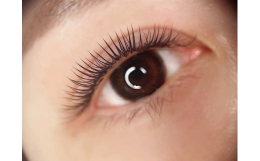 マツエク LEDデザインキープラッシュ つけ放題 1回券 リピーター続出 まつ毛エクステ マツエク施術 美容 メイク サロン アイメイク 目元 リフトアップ 時短 カウンセリング 大阪府 松原市 体験チケット お試し 大会受賞歴あり 認定講師