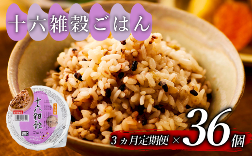 定期便 3回 十六雑穀 ごはんパック 160g 36個 パックごはん パックご飯 ごはんパック ご飯パック パックライス パック 16雑穀 雑穀 米 ごはん ご飯 こめ ライス 備蓄 保存 防災 レンジ 調理 簡単 レンチン 温めるだけ 健康 ダイエット 美容 栄養 ヘルシー 国産 36 36食 レトルト インスタント おいしい 人気 おすすめ おくさま印 大阪 松原